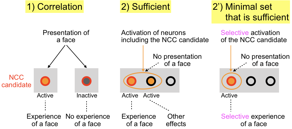 Pooneilの脳科学論文コメント 視覚的意識 Visual Awareness アーカイブ